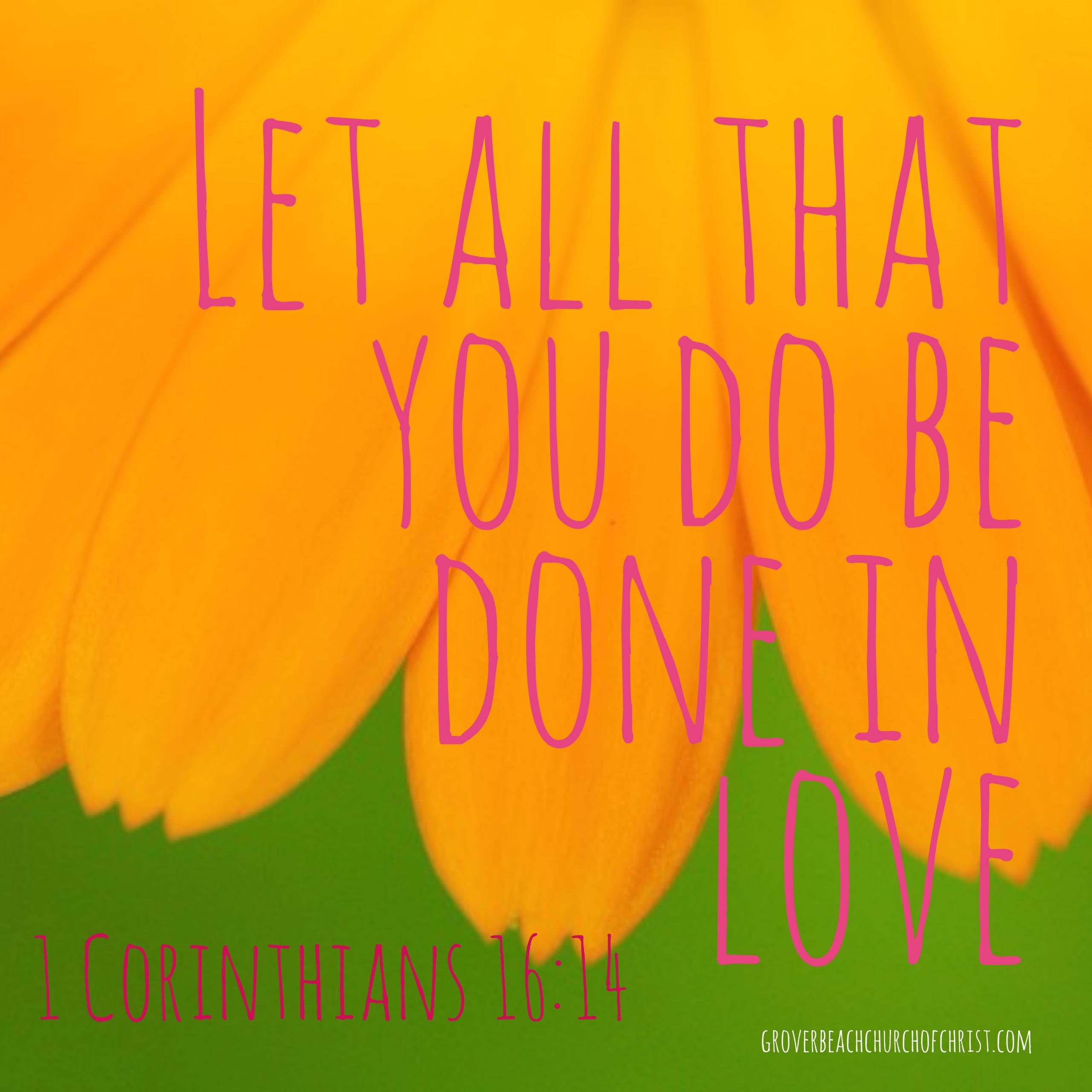 1 Corinthians 16:14 Let all that you do be