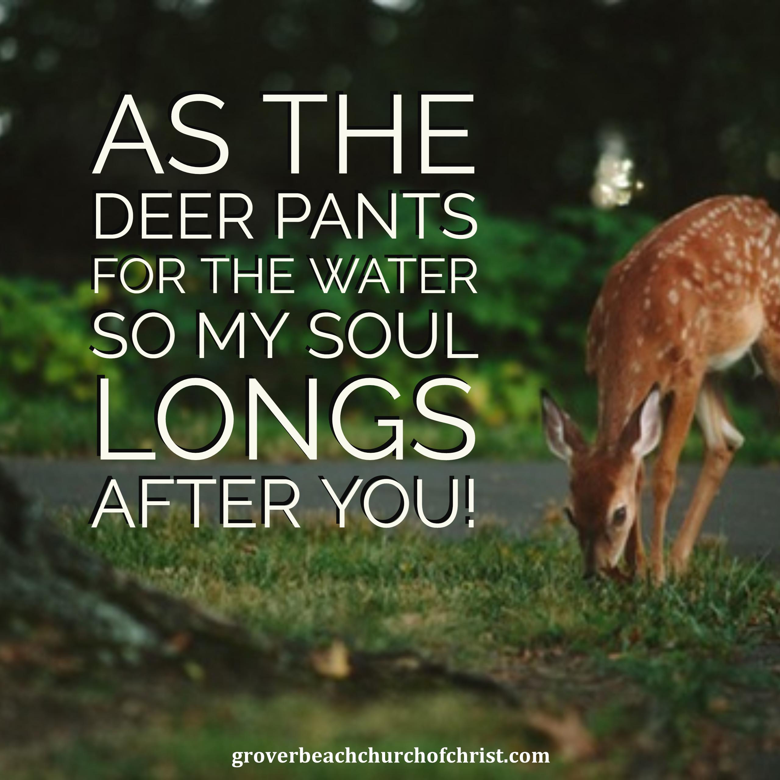 Psalm 421 NKJV  As The Deer Pants  Facebook Cover Photo  My Bible