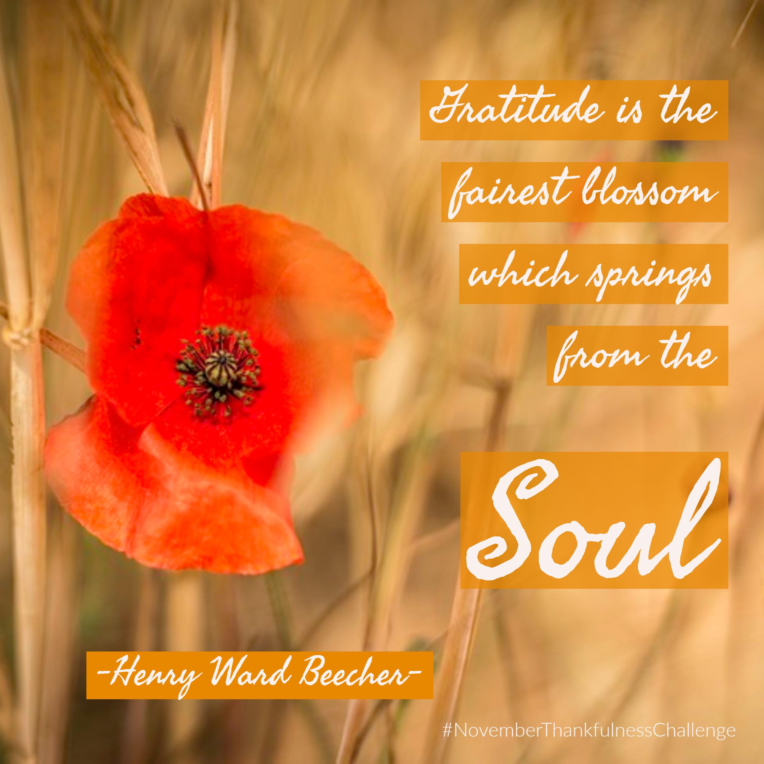 beecher-gratitude-is-the-fairest-blossom