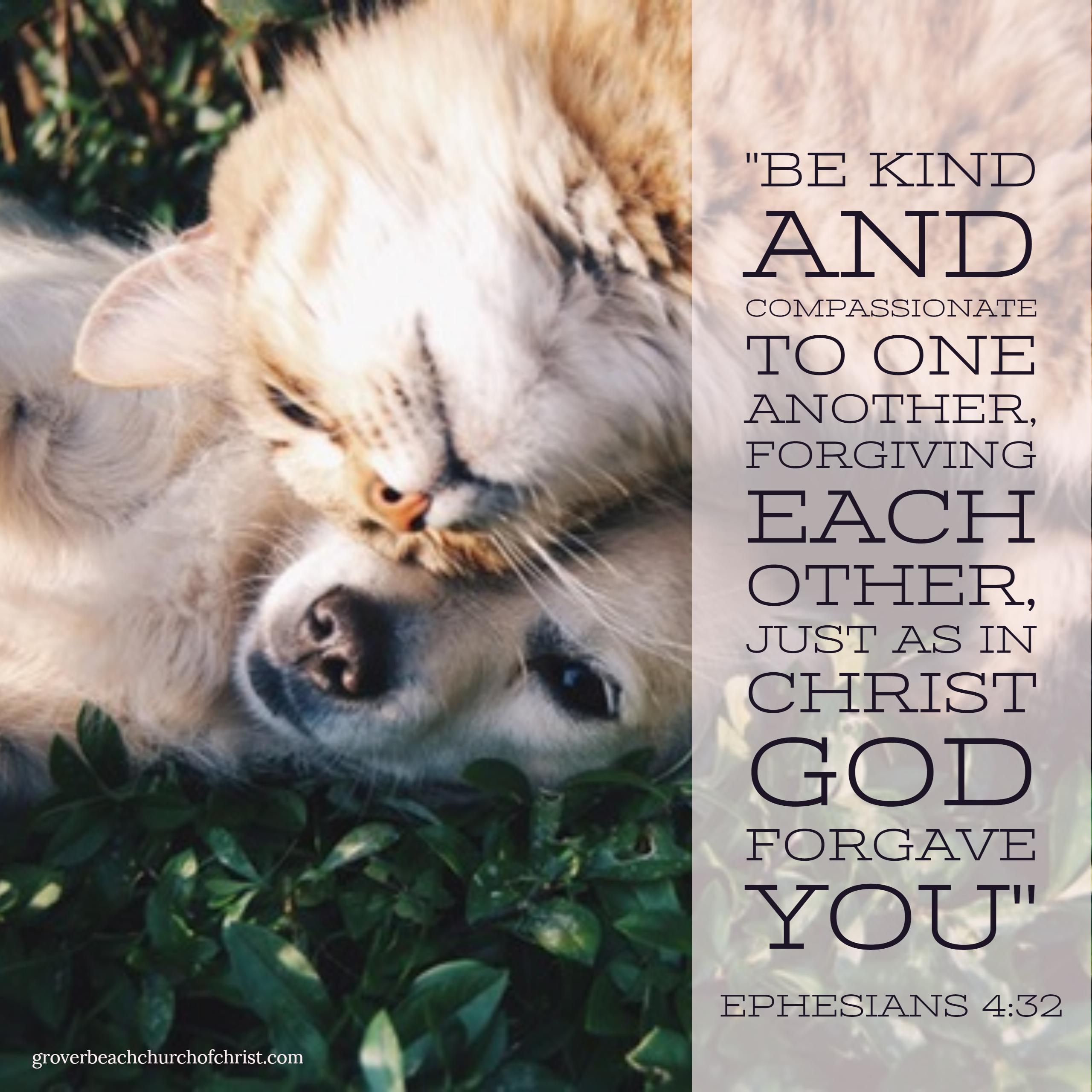 ephesians-4-32-be-kind-and-compassionate