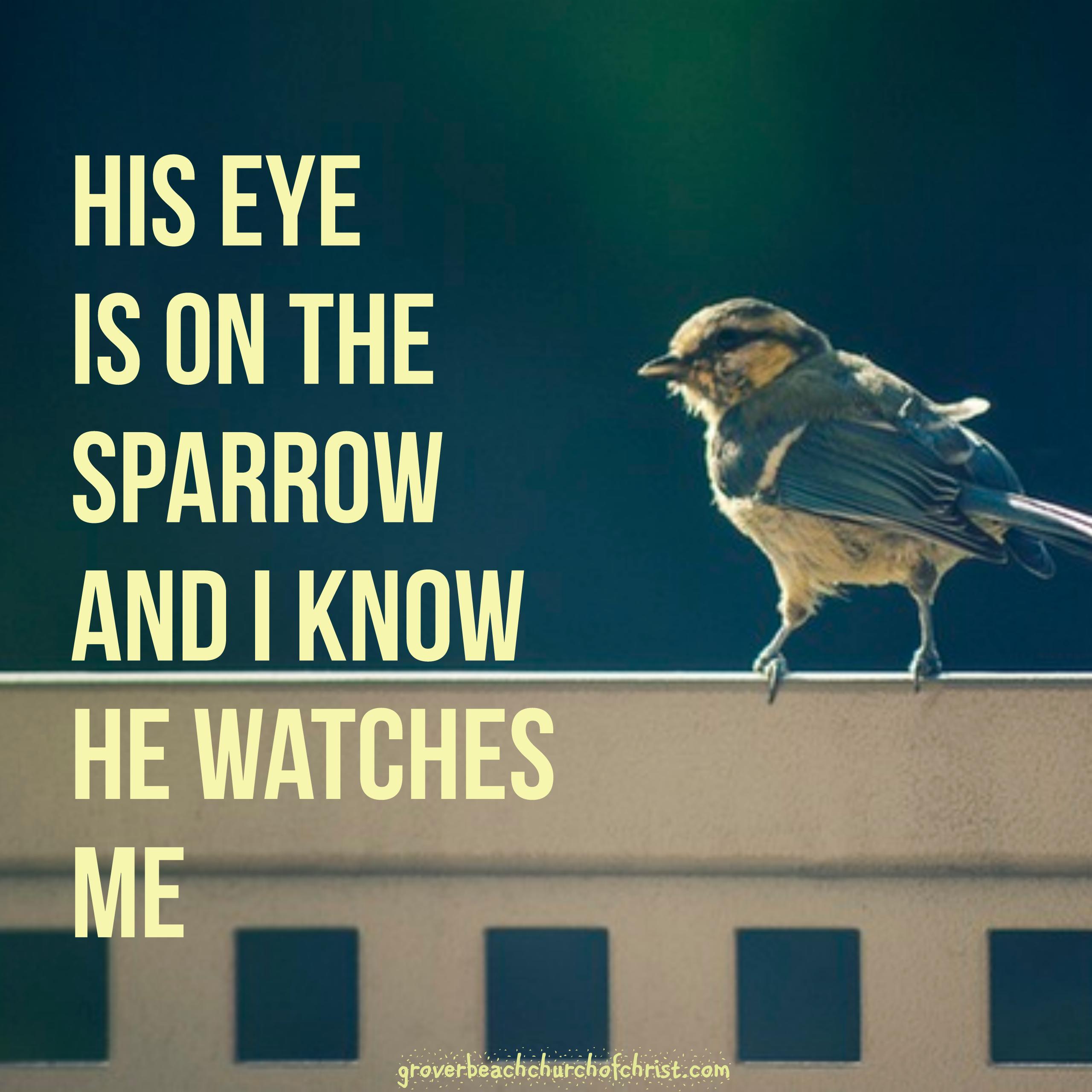 his-eye-is-on-the-sparrow
