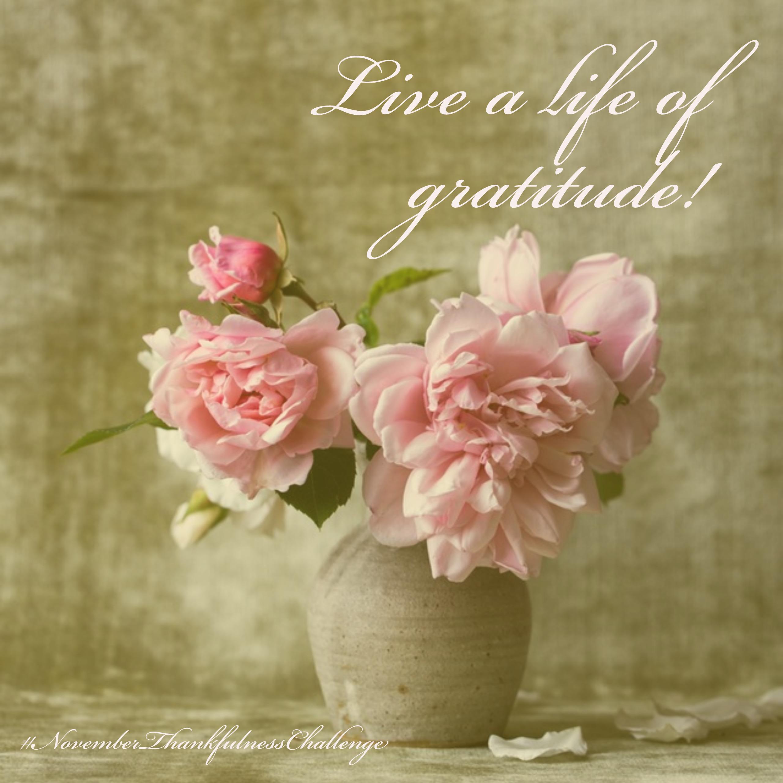live-a-life-of-gratitude