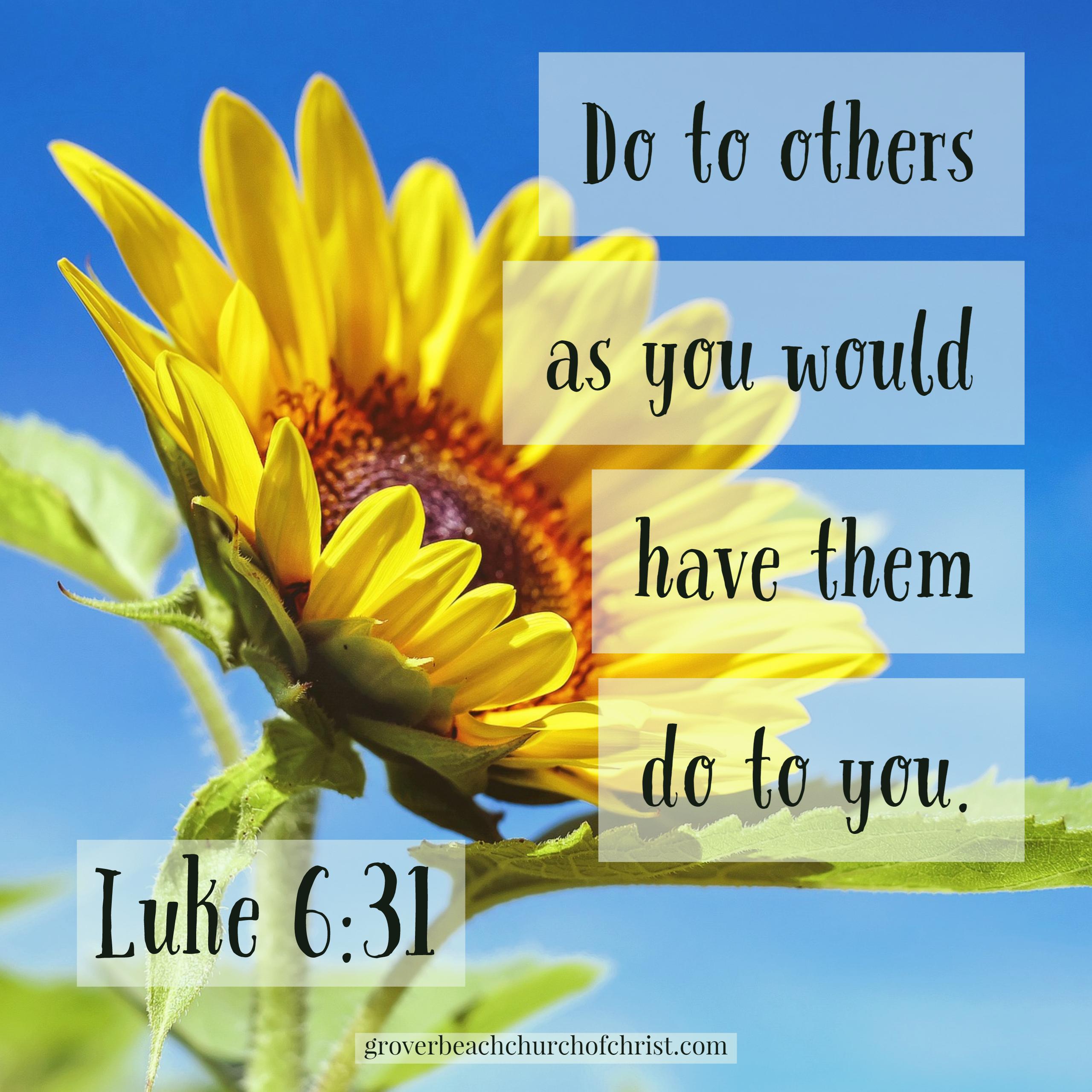 Luke 6:31 Do to others as you would have them do to you