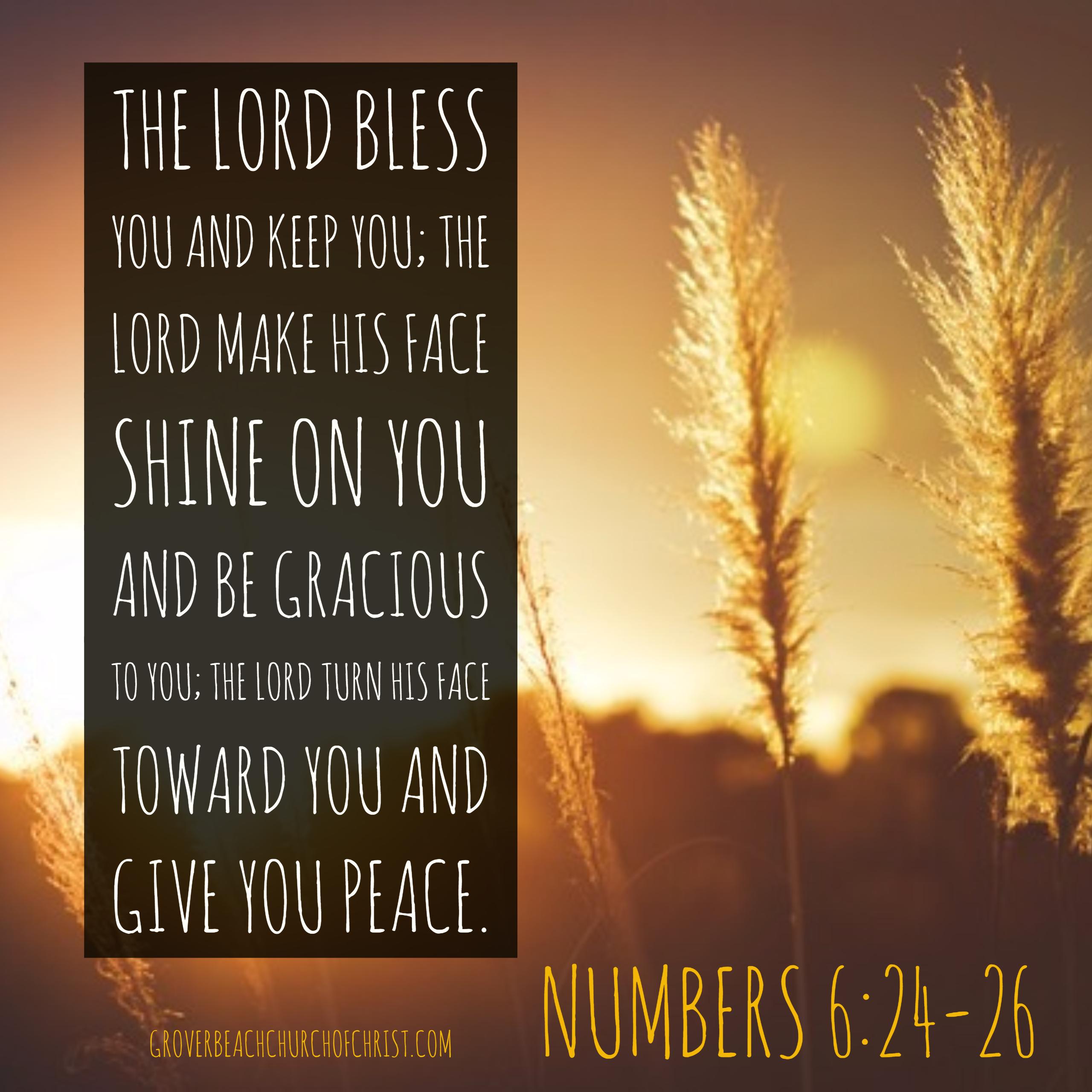 Numbers 6-24, 26 The lord bless you