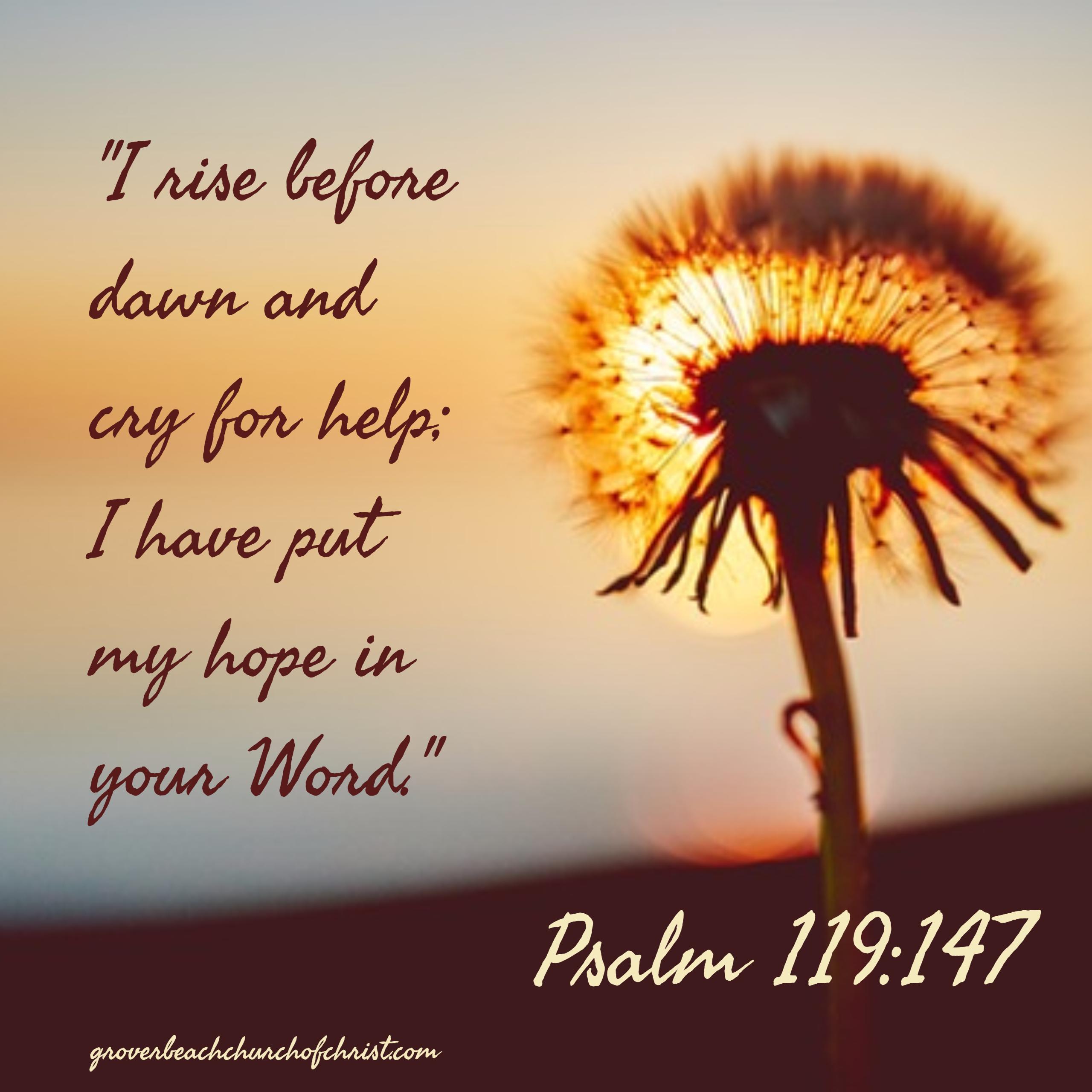 psalm-119-147-i-rise