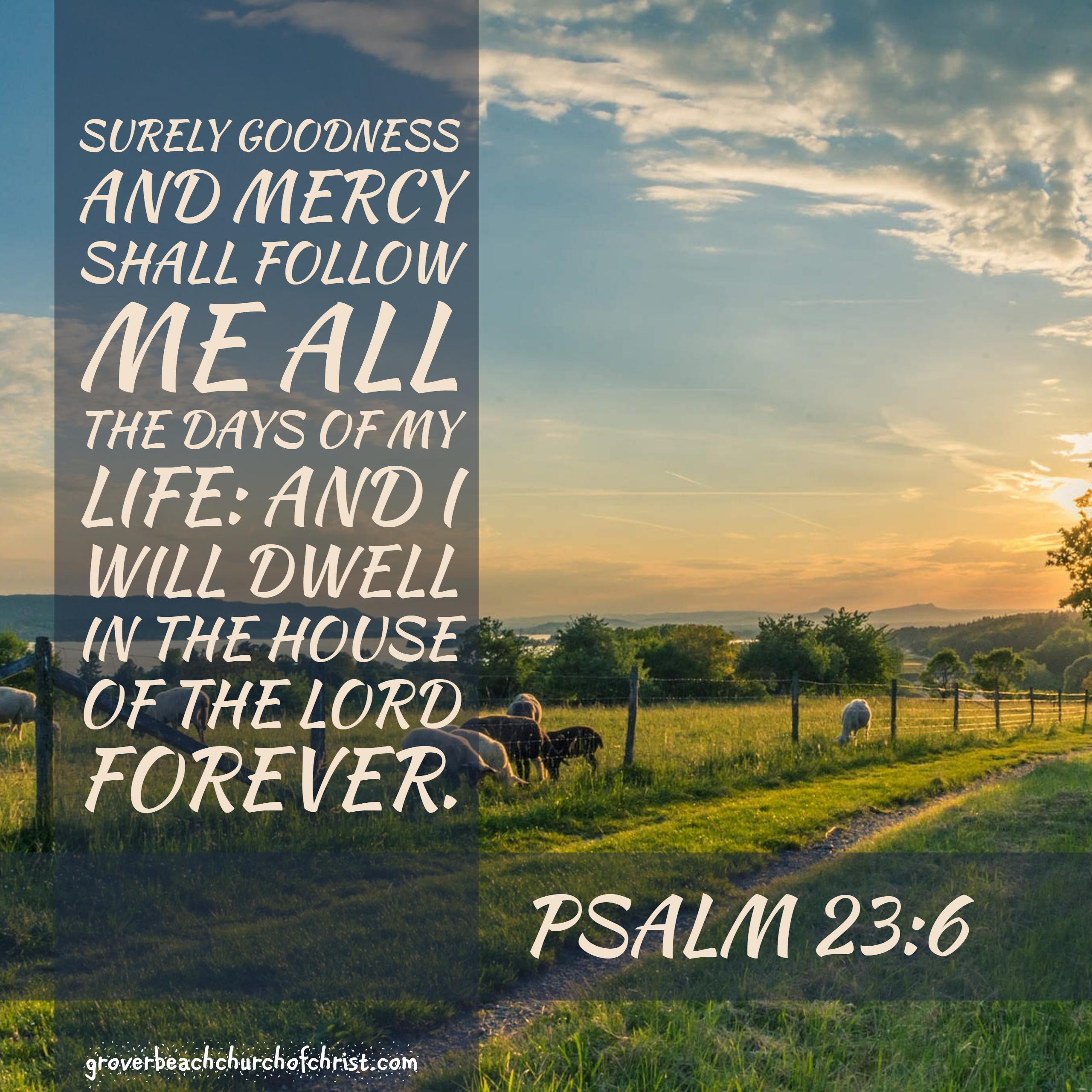 Psalm 23:6 Surely goodness and mercy