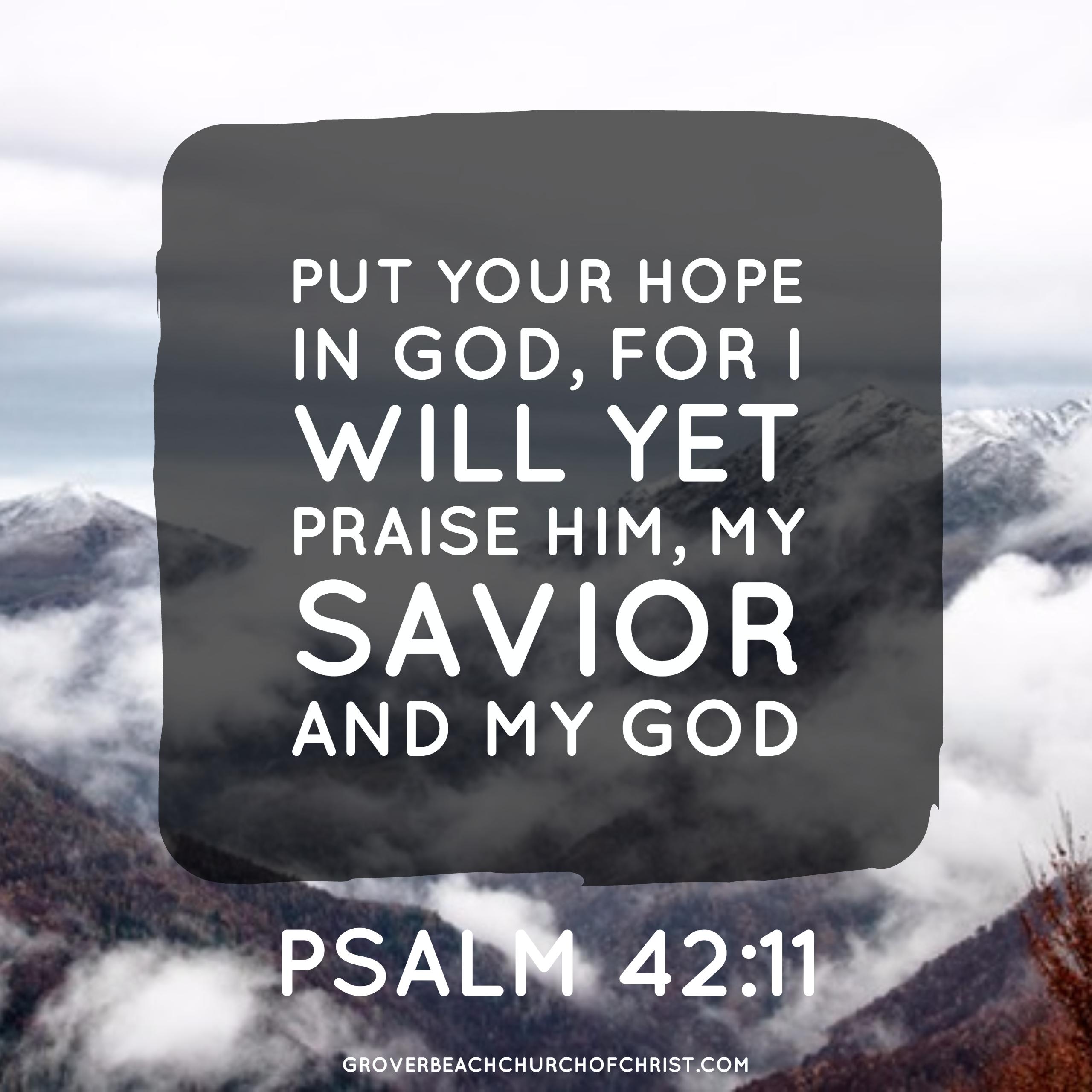 Psalm 42-11 Put your hope in God