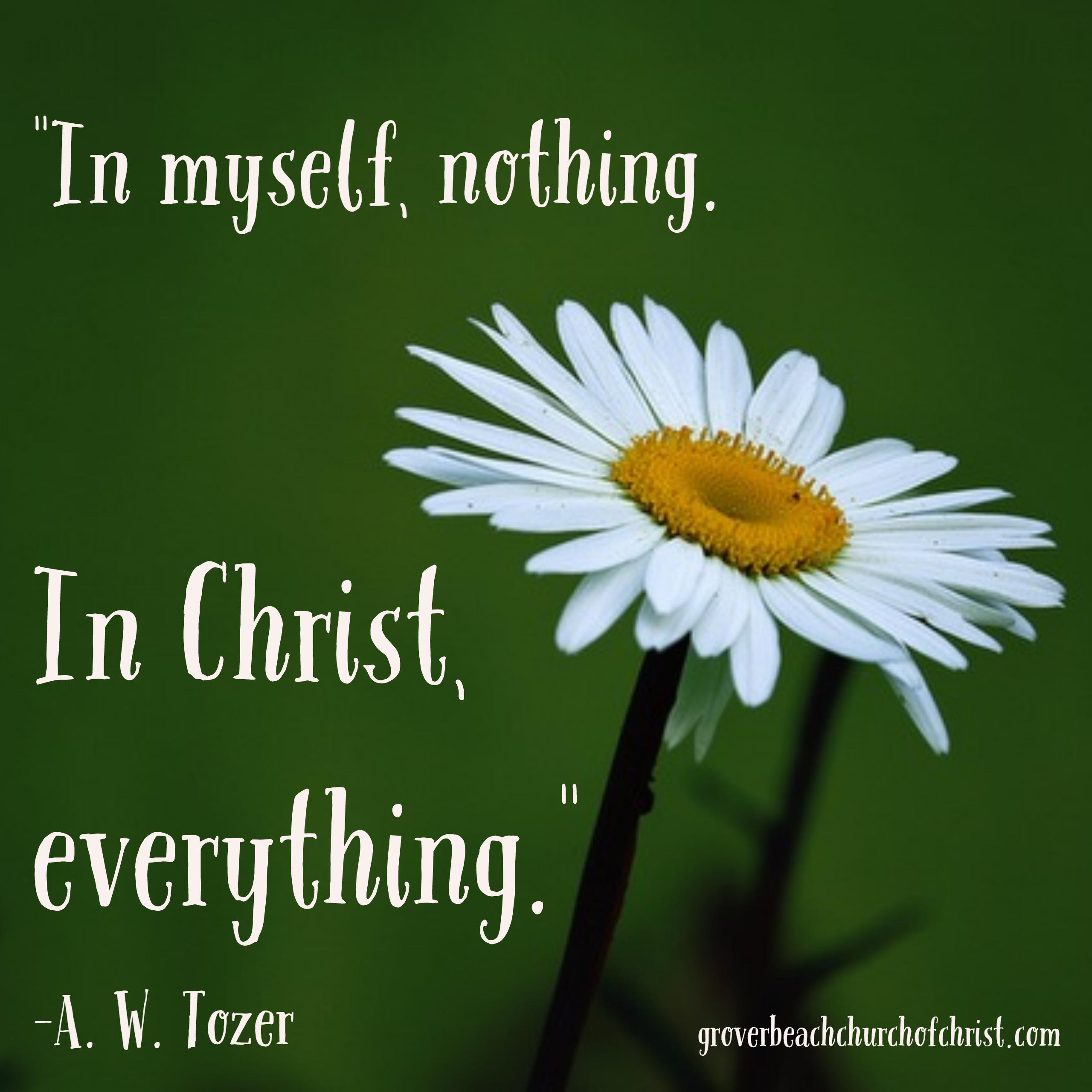 Tozer In myself nothing